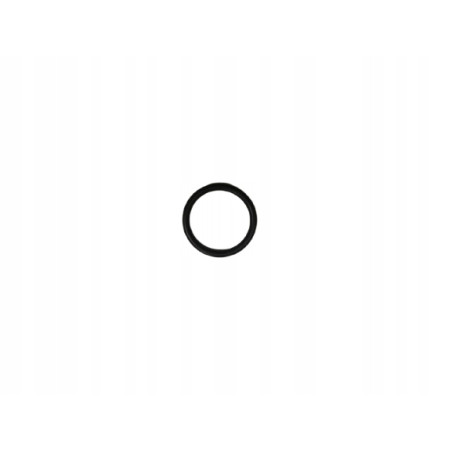 O-ring, skrzynia biegów FORD Fiesta 1995-2002 (DX) OE 7195539