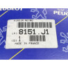 WKŁAD LUSTERKA LEWA STRONA PEUGEOT 405 I II OE 8151.J1