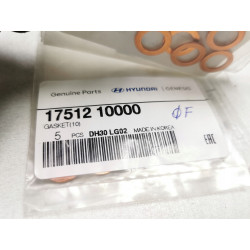 Uszczelka podkładka miedziana Hyundai Galloper, 2.5TD 1996-2003 17512 10000