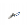 Żarówka Narva H3 12V 55 W 483213000
