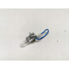 Żarówka Narva H3 12V 55 W 483213000