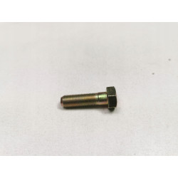 Śruba zacisku tył SsangYong Rexton I Actyon OE 4849105000