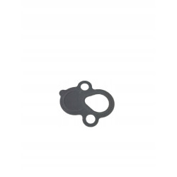 Uszczelka Daewoo Chevrolet Opel 96493163