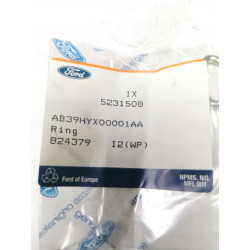 Ring Ford OE AB39HYX00001AA 5231508