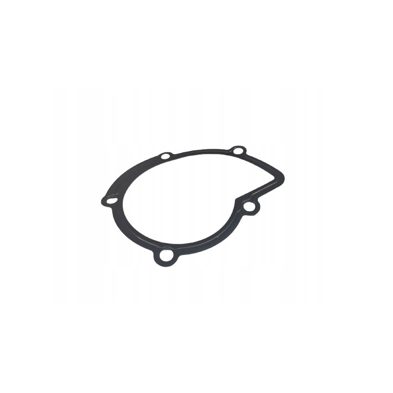 Uszczelka pompy wody Ford Mondeo IV OE 1232726