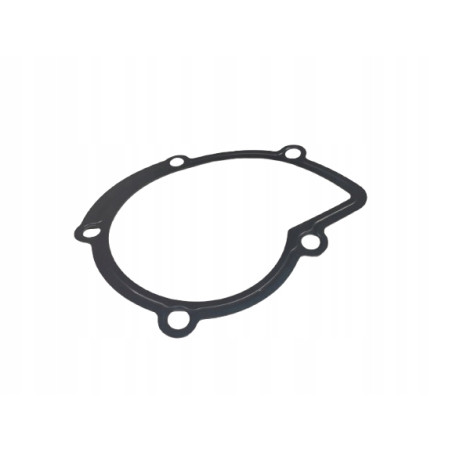 Uszczelka pompy wody Ford Mondeo IV OE 1232726