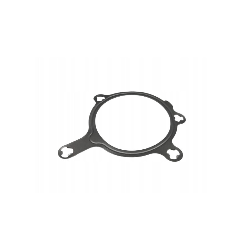 Uszczelka pompy wody Ford Escort 1995-2001 OE 1000153