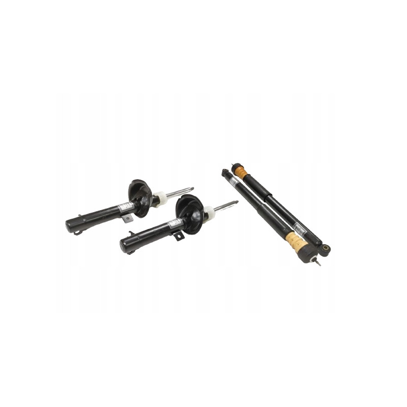 Amortyzatory EIBACH Ford Focus 1132316 60-35-001-01-22