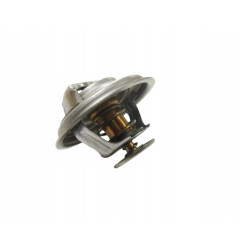 Termostat Mahindra 22593