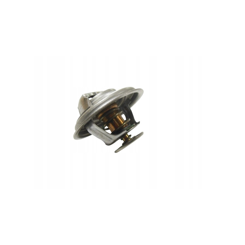 Termostat Mahindra 22593
