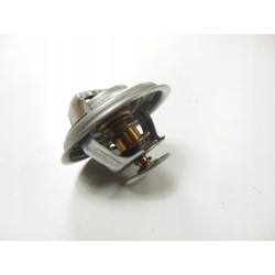 Termostat Mahindra 22593