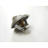 Termostat Mahindra 22593