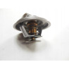 Termostat Mahindra 22593