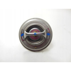 Termostat Mahindra 22593