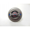 Termostat Mahindra 22593
