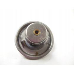 Termostat Mahindra 22593