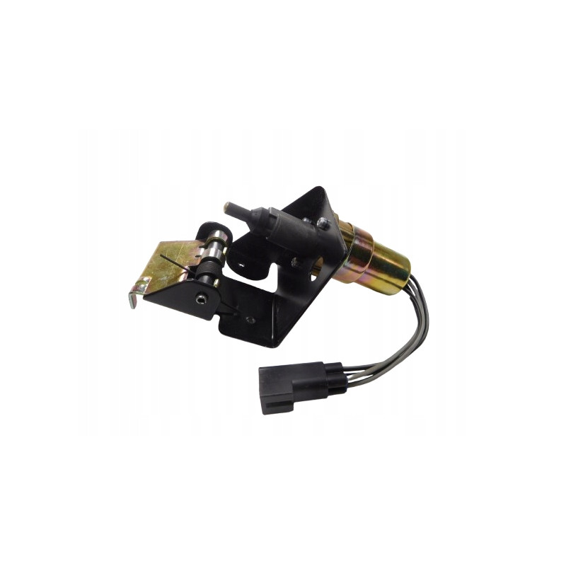 Regulator, Pompa Wtrysku Paliwa FORD Fiesta 1995-2002 (DX) 1019720