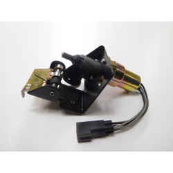 Regulator, Pompa Wtrysku Paliwa FORD Fiesta 1995-2002 (DX) 1019720