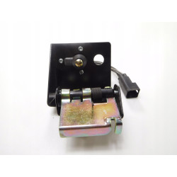 Regulator, Pompa Wtrysku Paliwa FORD Fiesta 1995-2002 (DX) 1019720