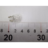 Żarówka W21W 12V OSRAM 7505