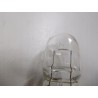 Żarówka W21W 12V OSRAM 7505