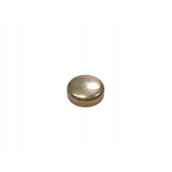Korek Rozprężny 19 x 6MM Głowica Cylindrów FORD Escort/Orion 81-86 6086739