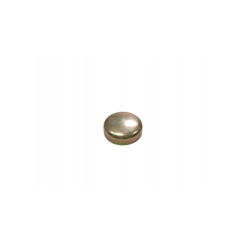 Korek Rozprężny 19 x 6MM Głowica Cylindrów FORD Escort/Orion 81-86 6086739