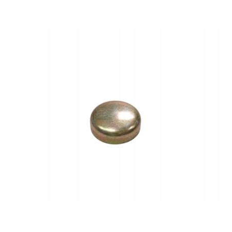 Korek Rozprężny 19 x 6MM Głowica Cylindrów FORD Escort/Orion 81-86 6086739