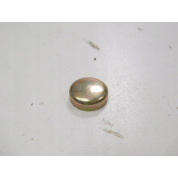 Korek Rozprężny 19 x 6MM Głowica Cylindrów FORD Escort/Orion 81-86 6086739