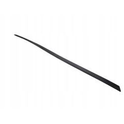 Listwa-Zewnętrzna Drzwi Lewy Przód Ford Fiesta 01-08 / Fusion 01-12 1219427