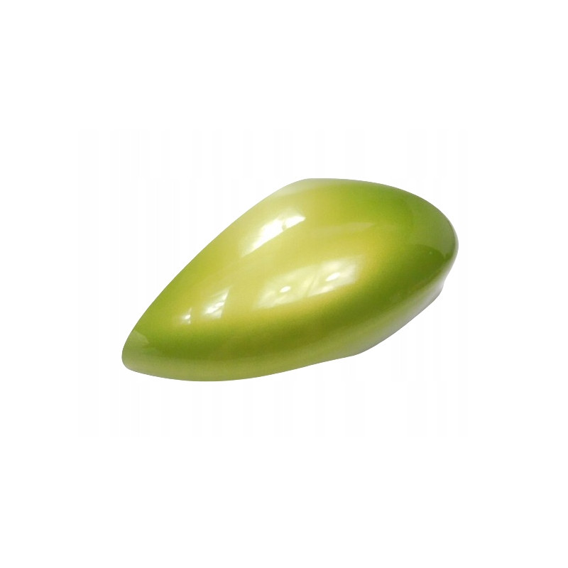 Osłona obudowy prawego lusterka Ford Fiesta MK7 OE 1594541