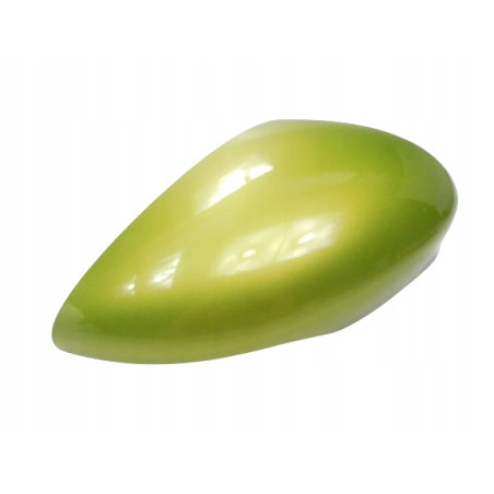 Osłona obudowy prawego lusterka Ford Fiesta MK7 OE 1594541