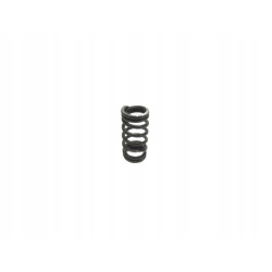 Sprężyna zamka synch.MT75 Ford Mondeo Transit Focus OE 6186730