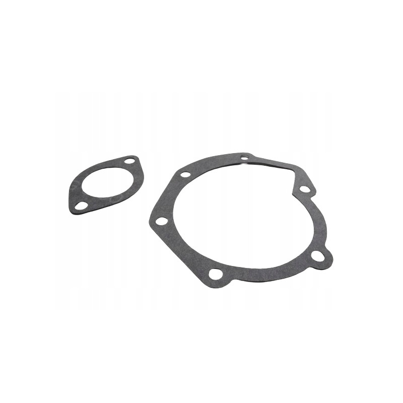 Uszczelka Pompy Wody Renault Espace Master OE 7701466351