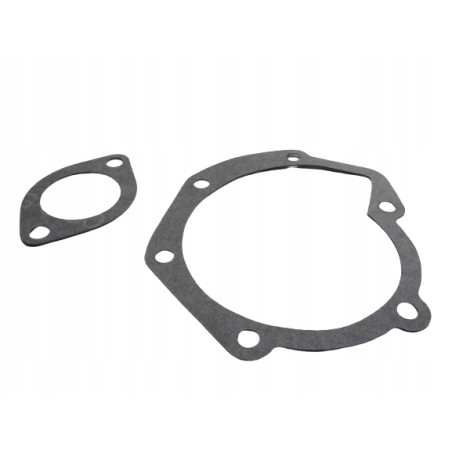 Uszczelka Pompy Wody Renault Espace Master OE 7701466351