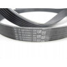 Pasek wielorowkowy Hyundai I30 Elantra OE 25212 03821