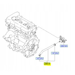 ZESPÓŁ WĘŻA-PCV HYUNDAI I10 OE 29021-03000