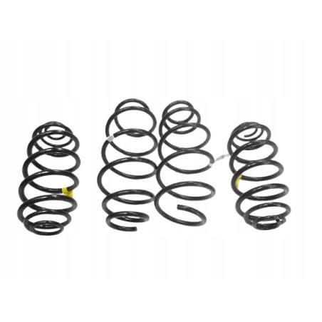 Sprężyny zawieszenia Chevrolet OE X0281209