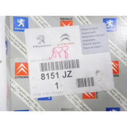 Wkład lusterka lewego Citroen C4 Picasso I OE 8151 JZ