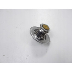 Termostat Chevrolet Aveo Lacetti OE 96143939