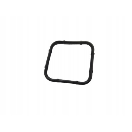 Uszczelka, korpus termostatu Opel Astra J Corsa D OE 55353353