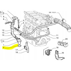 Uszczelka gumowa układu smarowania Fiat Bravo Brava OE 14459580