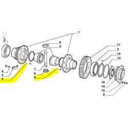 Pierścień dyferencjału Fiat Doblo Fiorino OE 7789462