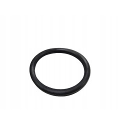 Uszczelka termostatu Renault Clio Laguna 7700741923