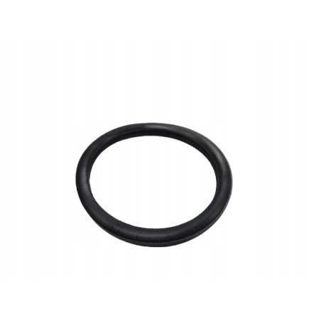 Uszczelka termostatu Renault Clio Laguna 7700741923