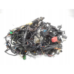 ZESTAW WIĄZEK ELEKTRYCZNYCH + MODUŁÓW GM