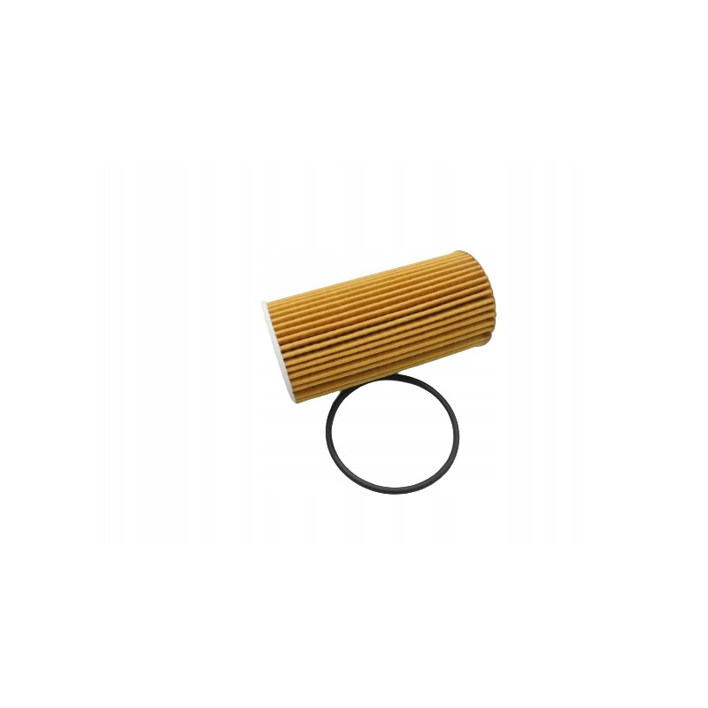 Filtr oleju Renault Clio III OE 152098580R