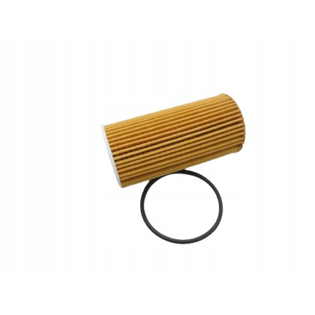 Filtr oleju Renault Clio III OE 152098580R