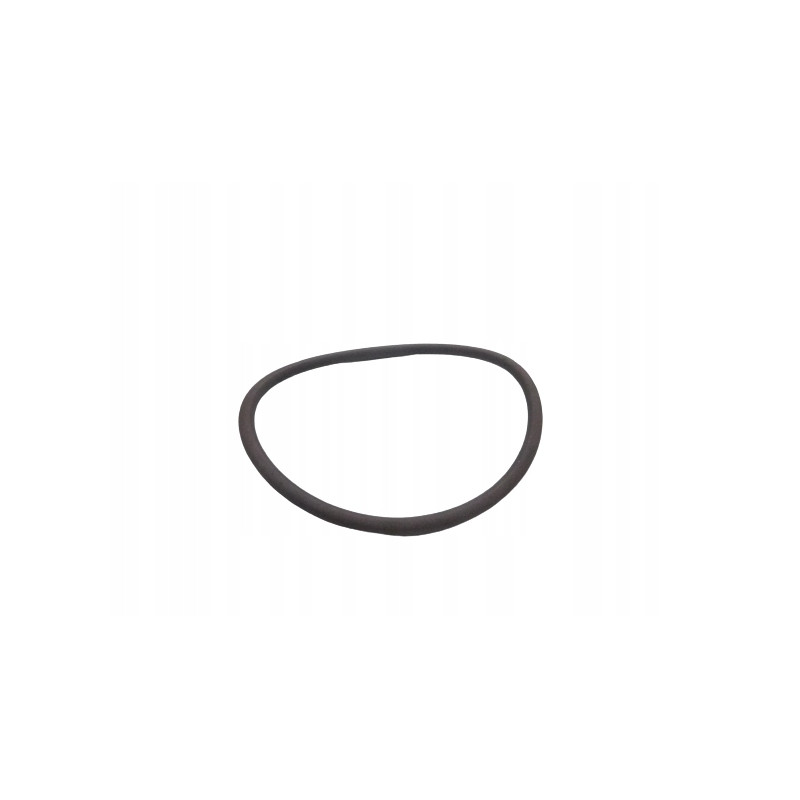 Uszczelka pompy wody Fiat Bravo OE 14463580