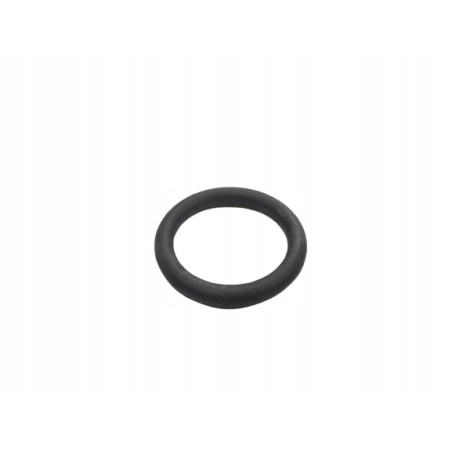 Oring podkładka pompy paliwa Fiat Tempra OE 7792370
